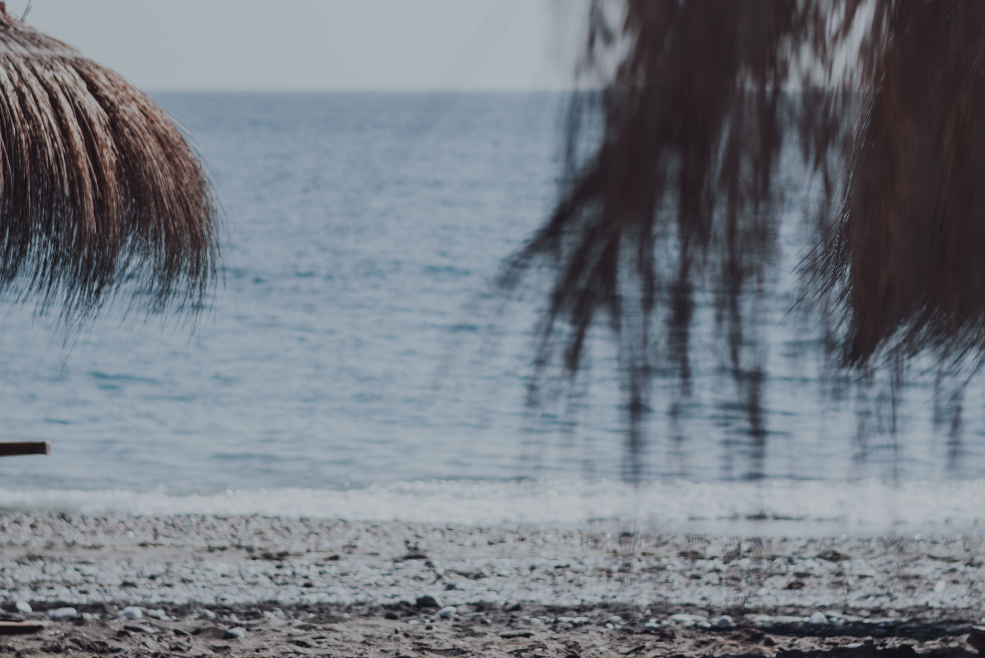 beach club imagen 3-01