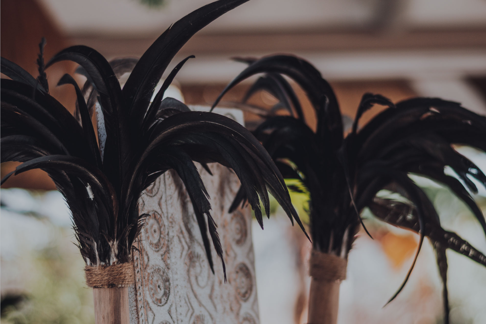 beach club imagen 4-01