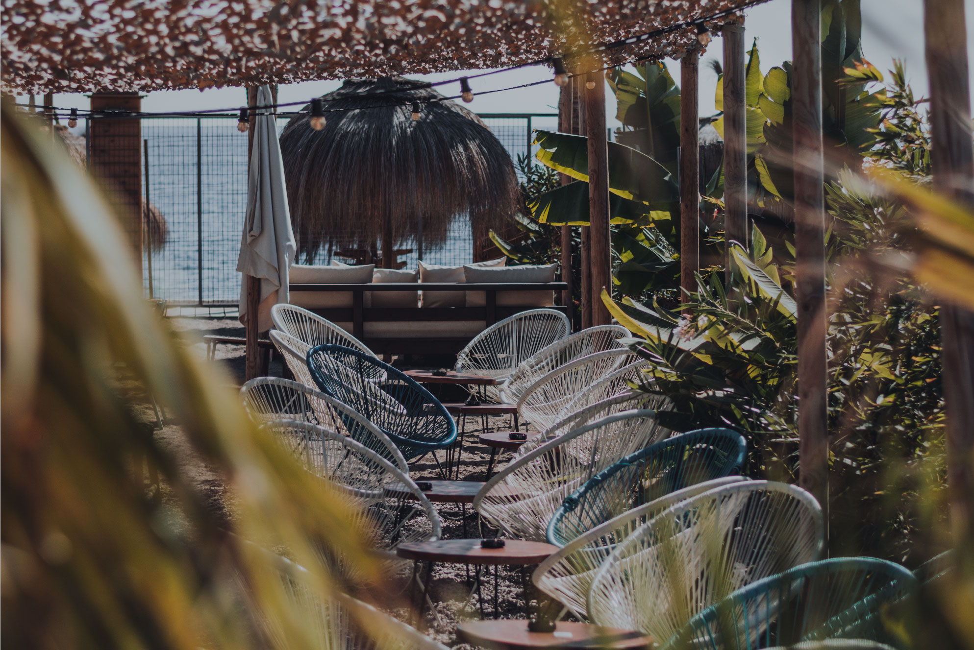 beach club imagen 5-01